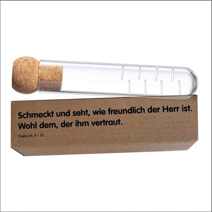 Teefilter aus Glas