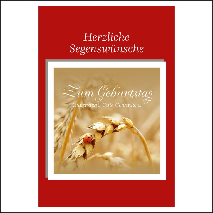Geschenk Plus - Herzl. Segenswünsche-Zum Geburtstag