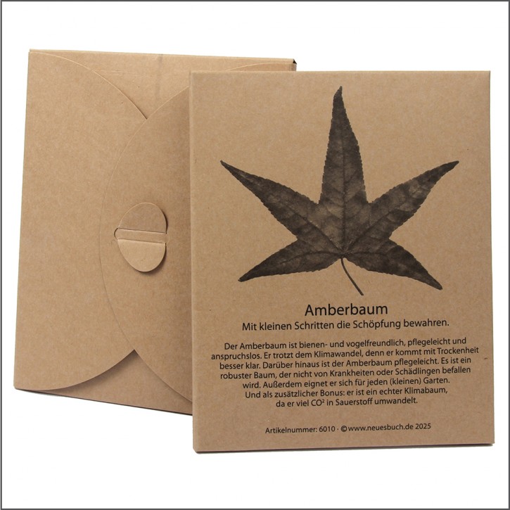 Amberbaum