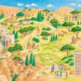 Bibel-Wimmelbuch - Jesus