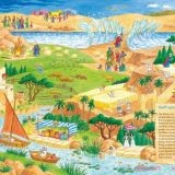 Bibel-Wimmelbuch von Gott
