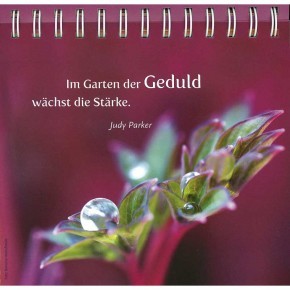 Gelassenheit für alle Tage