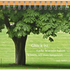 Gelassenheit für alle Tage