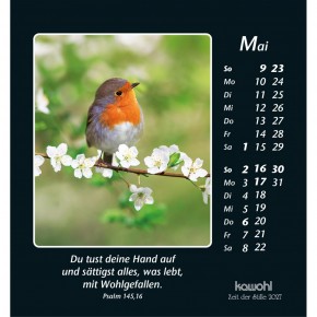 Zeit der Stille - Kalender