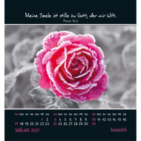 Freu dich an kleinen Wundern - Kalender