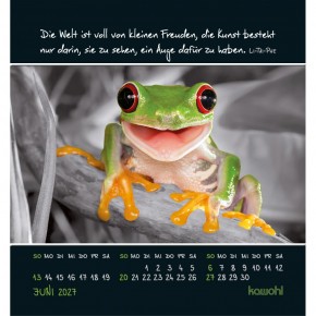 Freu dich an kleinen Wundern - Kalender