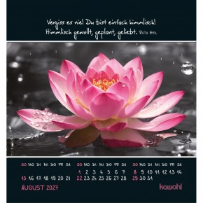 Freu dich an kleinen Wundern - Kalender