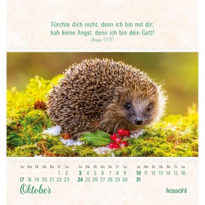 Von Herzen ein gutes Jahr - Kalender