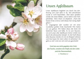 Mit herzlichen Segenswünschen - Kgm.