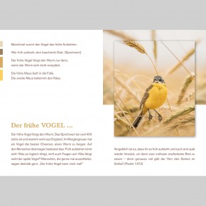 Dein Wort in Gottes Ohr