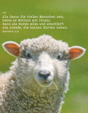 Postermappe zur Jahreslosung