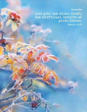 Postermappe zur Jahreslosung