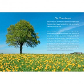 Lichtblick(e): Mein Paradies